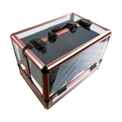 Maleta transparente com estrutura metálica cobre e fechos pretos