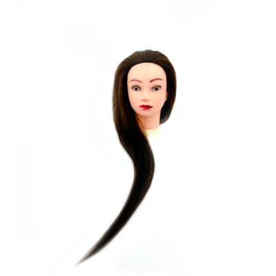 Cabeça Académica com 60% de Cabelo Verdadeiro | Ref.863962