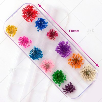 Flores Secas para Nail Art | Ref.862100