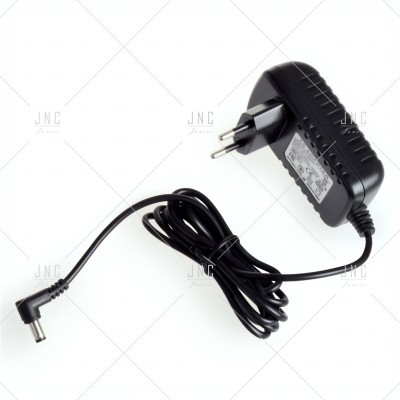 Carregador elétrico preto com cabo e ficha europeia em fundo branco