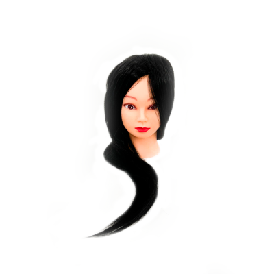 Cabeça Académica com Cabelo Falso | Ref.862670
