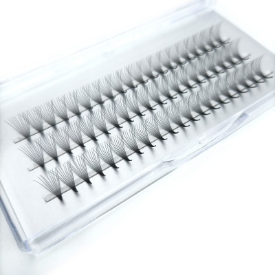 Estojo transparente com tufos organizados de pestanas falsas pretas