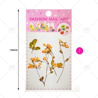 Flores Secas para Nail Art | Ref.861922