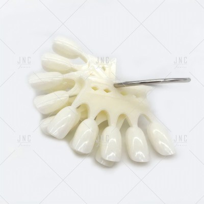 Paleta de unhas falsas brancas em plástico brilhante