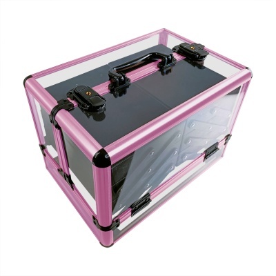 Mala transparente com estrutura rosa, fecho e pega pretos