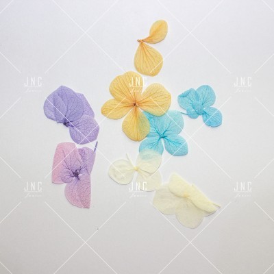 Flores Secas para Nail Art | Ref.861921