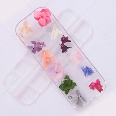 Flores Secas para Nail Art | Ref.862098