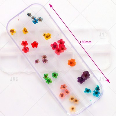 Flores Secas para Nail Art | Ref.862099