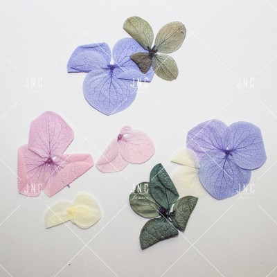 Flores Secas para Nail Art | Ref.861921