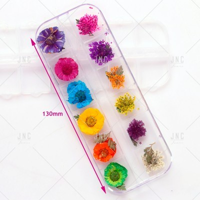 Flores Secas para Nail Art | Ref.862101