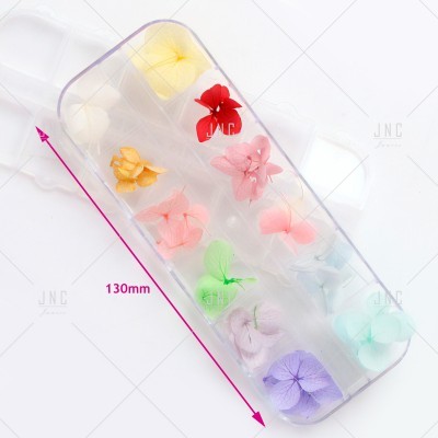 Flores Secas para Nail Art | Ref.862097