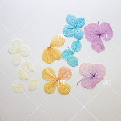 Flores Secas para Nail Art | Ref.861921