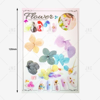 Flores Secas para Nail Art | Ref.861921