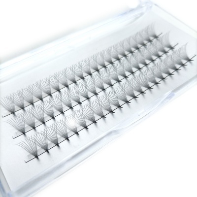 Extensão de Pestanas 0.05CC em Tufo 10 -  10D | 13mm | Ref.863147