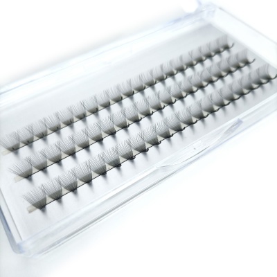 Caixa transparente com tufas de pestanas artificiais em filas sobre base branca
