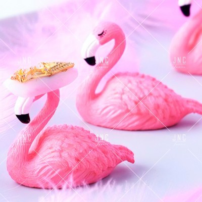 Decoração para fotos - Flamingo | Ref.860584