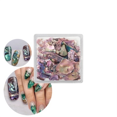 Lantejoulas Abalone Shell #03 | Ref.863890