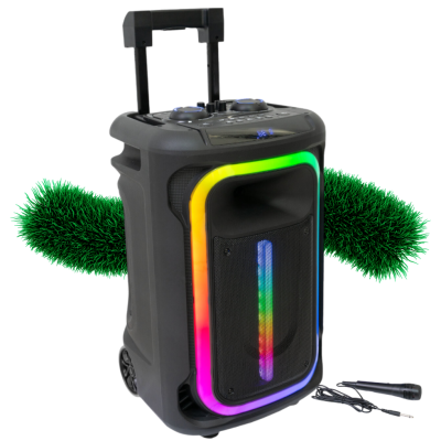 Coluna Amplificada 12" 800W 1 MIC USB/BT/SD/AUX TWS IBIZA