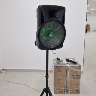 Coluna Amplificada 15" 700W USB/BT/SD Tripé + Micro sem fio