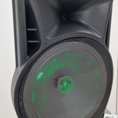 Coluna Amplificada 15" 700W USB/BT/SD Tripé + Micro sem fio