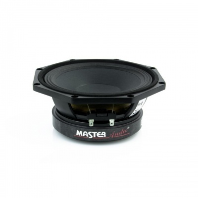 Woofer de 225 mm/8" Potência RMS: 250 watts 8 Ohms- Master Audio