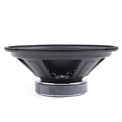 Woofer 10" 25cm 220W CW1001/8-Master Audio