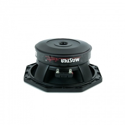 Woofer de 225 mm/8" Potência RMS: 250 watts 8 Ohms- Master Audio
