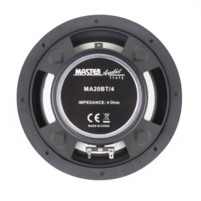 Woofer de 210 mm/8" Potência 150 watts 4 Ohms- Master Audio