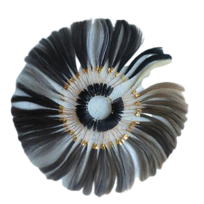 Mostruário  de cores profissional