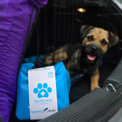 Kit de Primeiros Socorros para Cães