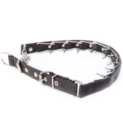 Coleira Ajustavél com Bicos Ocultos