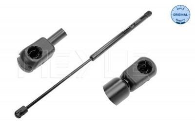 Amortecedor Mala Renault Clio II