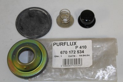 Kit Reparação Bomba Purflux Peugeot/Citroen/Renault 670172534 - 49.242