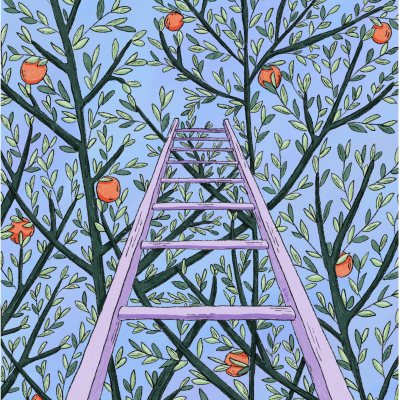 Escada lilás entre galhos verdes com romãs e céu azul