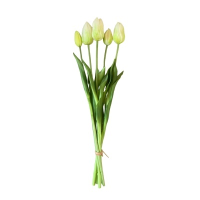 Tulipas Cores Variadas