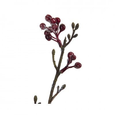 Ramo Bagas Vermelhas