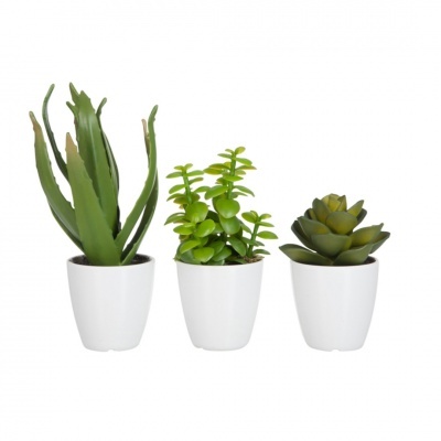 Suculenta Artificial em Vaso