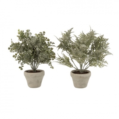 Samambaia Artificial