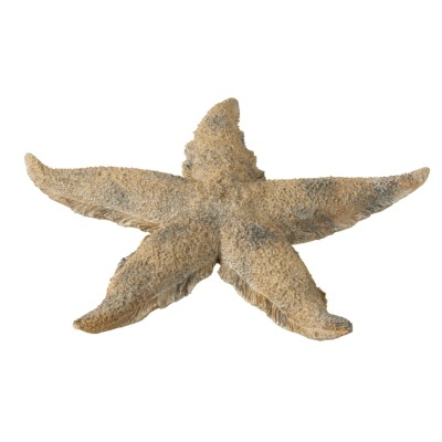 Estrela do Mar Grande