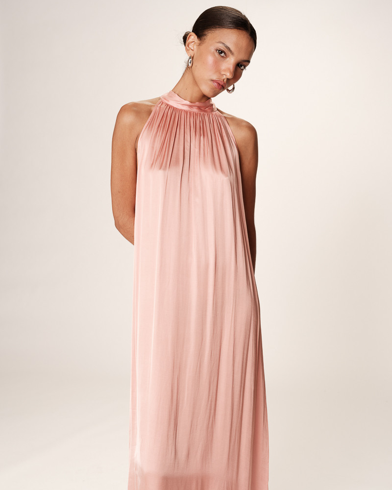 rose dress rose dress