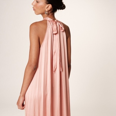 rose dress rose dress