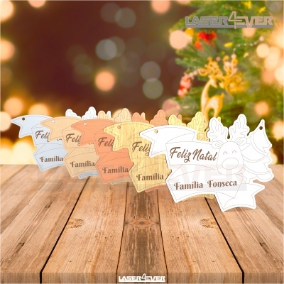 Placa Decorativa - Rena Nome Família Personalizado