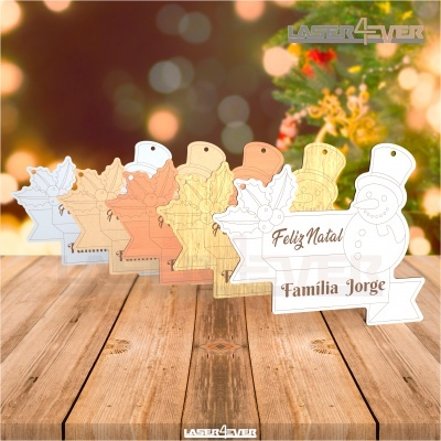 Placa Decorativa - Boneco de Neve Nome Família Personalizado