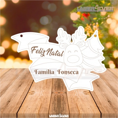 Placa Decorativa - Rena Nome Família Personalizado
