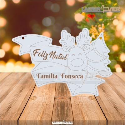 Placa Decorativa - Rena Nome Família Personalizado