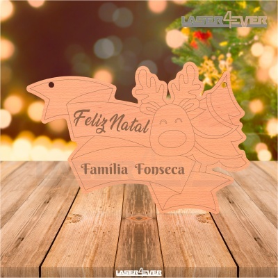 Placa Decorativa - Rena Nome Família Personalizado