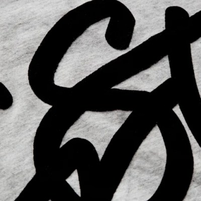 T-shirt cinza com logo em veludo G-Star Raw