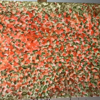 Bougainvillea Áurea (VIII)