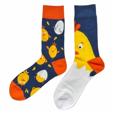 Meias Pinto com Pinta