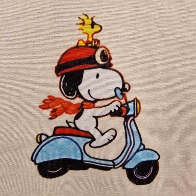 Vestido Snoopy on Vespa